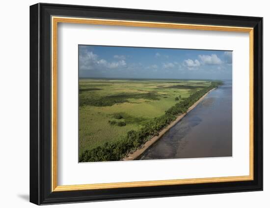 Shell Beach, North Guyana-Pete Oxford-Framed Photographic Print