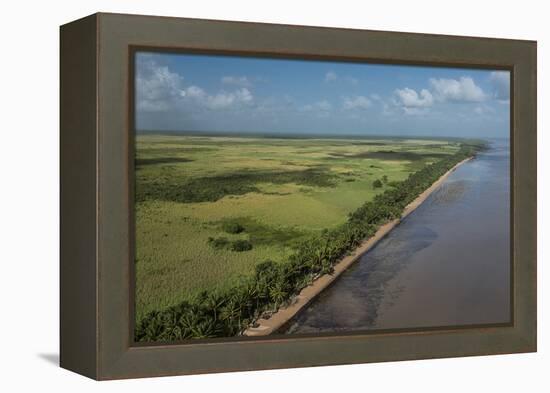 Shell Beach, North Guyana-Pete Oxford-Framed Premier Image Canvas