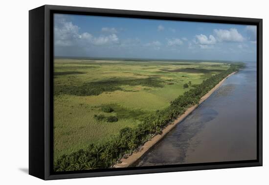 Shell Beach, North Guyana-Pete Oxford-Framed Premier Image Canvas