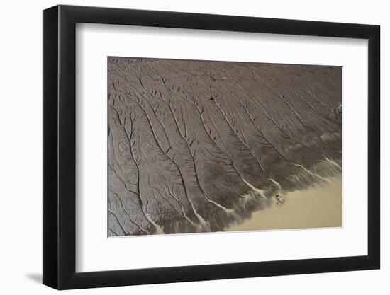 Shell Beach, North Guyana-Pete Oxford-Framed Photographic Print