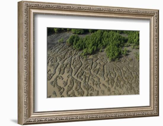 Shell Beach, North Guyana-Pete Oxford-Framed Photographic Print