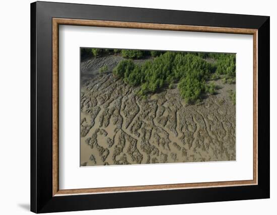 Shell Beach, North Guyana-Pete Oxford-Framed Photographic Print