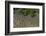 Shell Beach, North Guyana-Pete Oxford-Framed Photographic Print