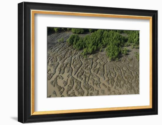 Shell Beach, North Guyana-Pete Oxford-Framed Photographic Print