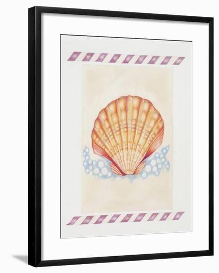 Shell Cardita-Deborah Kopka-Framed Giclee Print