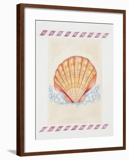 Shell Cardita-Deborah Kopka-Framed Giclee Print