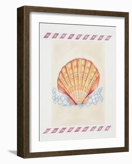 Shell Cardita-Deborah Kopka-Framed Giclee Print