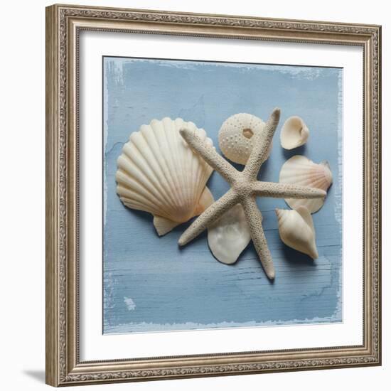 Shell Collection I-Bill Philip-Framed Giclee Print