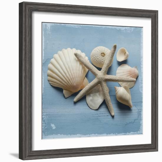 Shell Collection I-Bill Philip-Framed Giclee Print