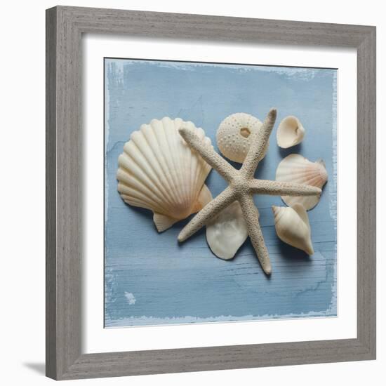 Shell Collection I-Bill Philip-Framed Giclee Print