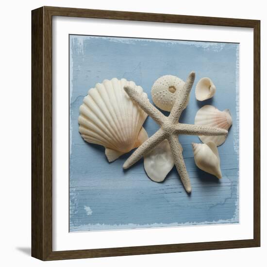 Shell Collection I-Bill Philip-Framed Giclee Print