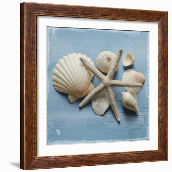 Shell Collection I-Bill Philip-Framed Giclee Print