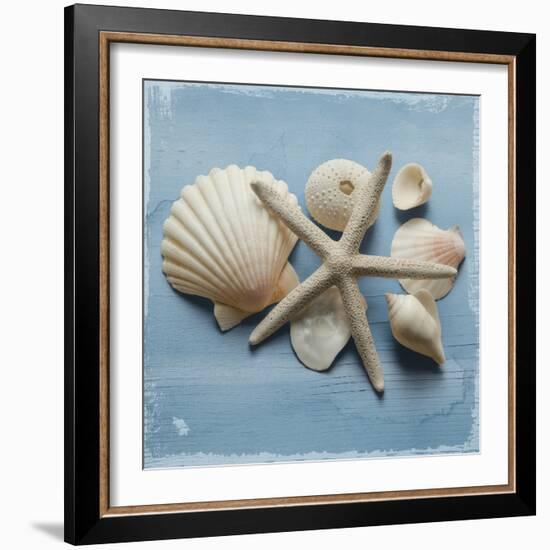 Shell Collection I-Bill Philip-Framed Giclee Print