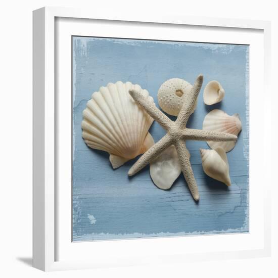 Shell Collection I-Bill Philip-Framed Giclee Print