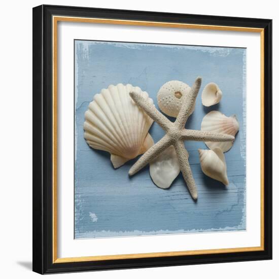 Shell Collection I-Bill Philip-Framed Giclee Print