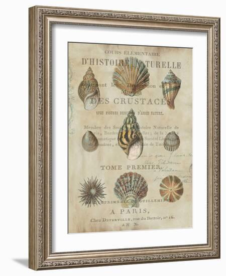 Shell Collection I-Deborah Devellier-Framed Art Print