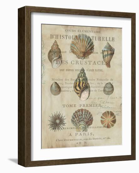 Shell Collection I-Deborah Devellier-Framed Art Print