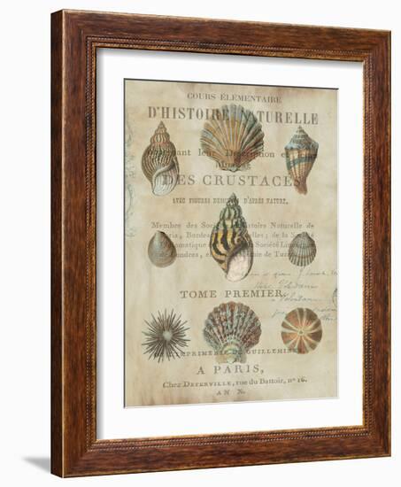 Shell Collection I-Deborah Devellier-Framed Art Print