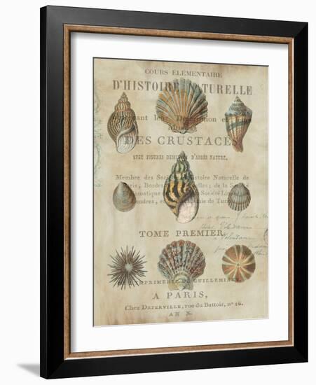 Shell Collection I-Deborah Devellier-Framed Art Print