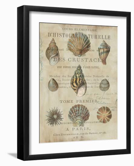 Shell Collection I-Deborah Devellier-Framed Art Print