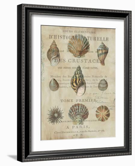 Shell Collection I-Deborah Devellier-Framed Art Print