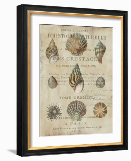 Shell Collection I-Deborah Devellier-Framed Art Print