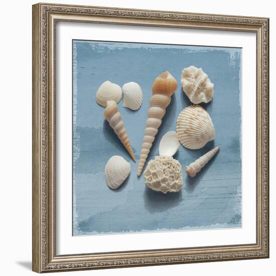 Shell Collection II-Bill Philip-Framed Giclee Print