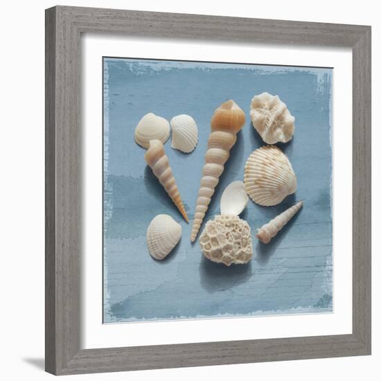 Shell Collection II-Bill Philip-Framed Giclee Print