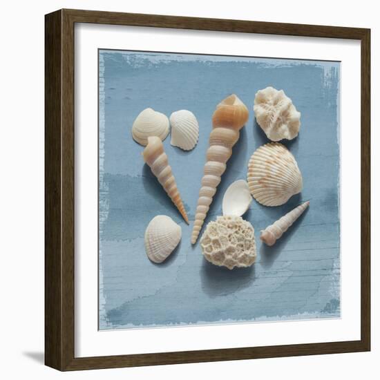 Shell Collection II-Bill Philip-Framed Giclee Print