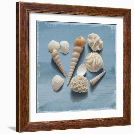 Shell Collection II-Bill Philip-Framed Giclee Print