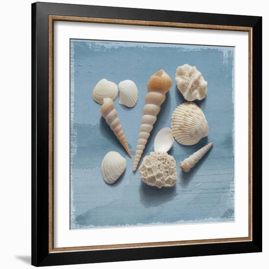 Shell Collection II-Bill Philip-Framed Giclee Print