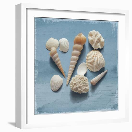 Shell Collection II-Bill Philip-Framed Giclee Print