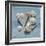 Shell Collection II-Bill Philip-Framed Giclee Print