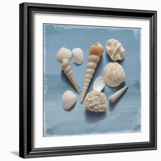 Shell Collection II-Bill Philip-Framed Giclee Print