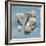 Shell Collection II-Bill Philip-Framed Giclee Print