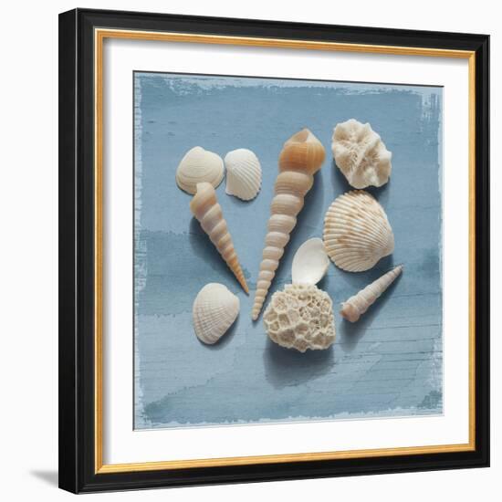 Shell Collection II-Bill Philip-Framed Giclee Print