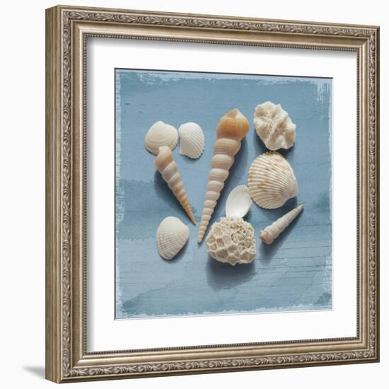 Shell Collection II-Bill Philip-Framed Giclee Print