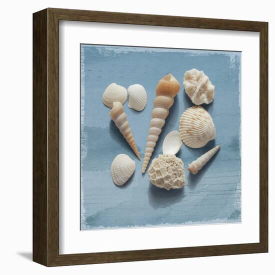 Shell Collection II-Bill Philip-Framed Giclee Print