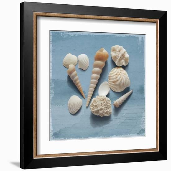 Shell Collection II-Bill Philip-Framed Giclee Print