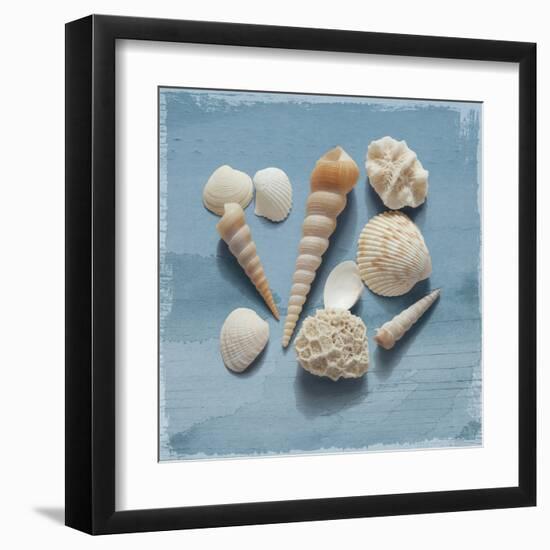 Shell Collection II-Bill Philip-Framed Giclee Print