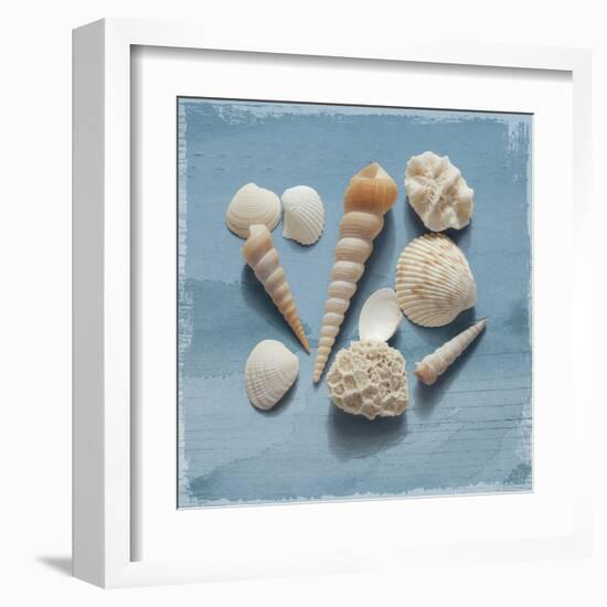 Shell Collection II-Bill Philip-Framed Giclee Print