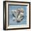 Shell Collection II-Bill Philip-Framed Giclee Print