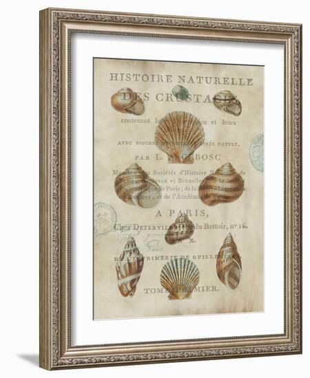 Shell Collection II-Deborah Devellier-Framed Art Print