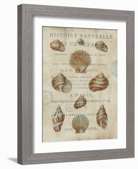 Shell Collection II-Deborah Devellier-Framed Art Print