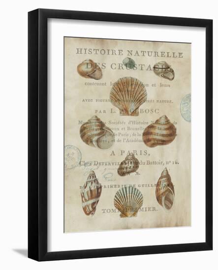 Shell Collection II-Deborah Devellier-Framed Art Print