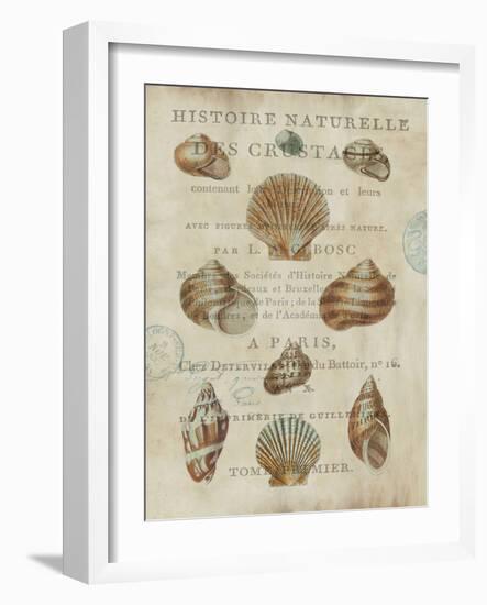 Shell Collection II-Deborah Devellier-Framed Art Print