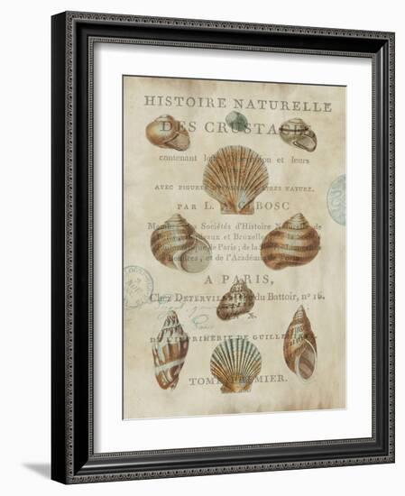 Shell Collection II-Deborah Devellier-Framed Art Print