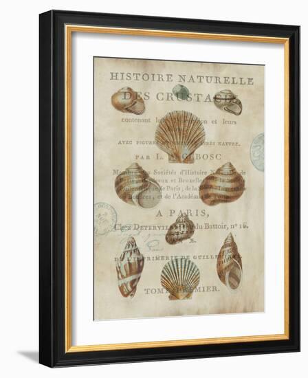 Shell Collection II-Deborah Devellier-Framed Art Print