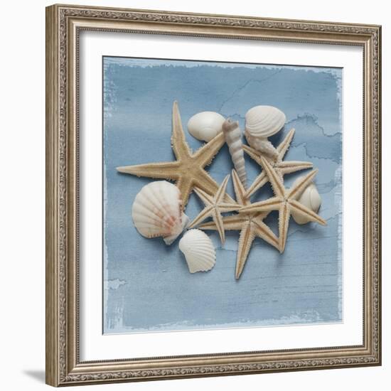 Shell Collection III-Bill Philip-Framed Giclee Print