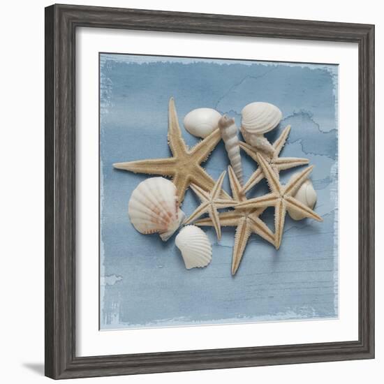 Shell Collection III-Bill Philip-Framed Giclee Print